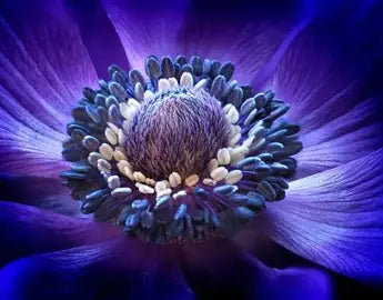 Glow